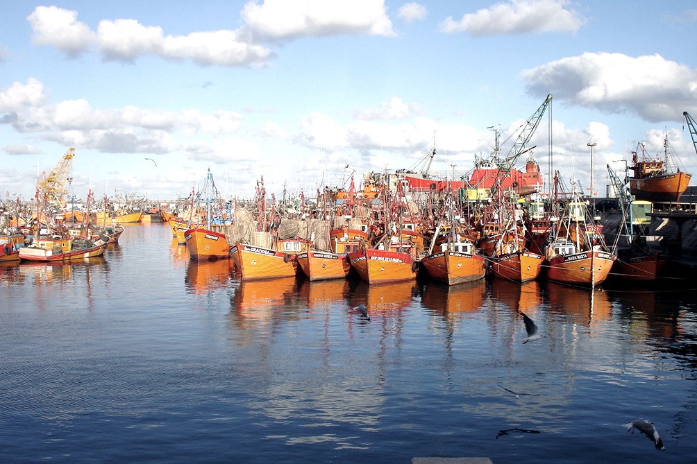Los 47 barcos pesqueros nucleados en ALFA incrementaron su produccin a partir del crecimiento de las exportaciones